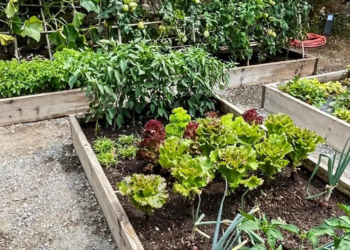 Old Mill Prázdninový dům