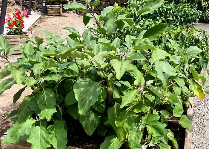 Old Mill Prázdninový dům